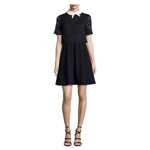 Ted Baker Trim Lace Bodice Fit & Flare Dress